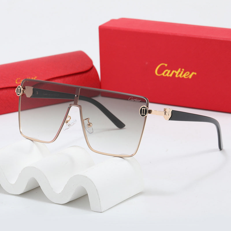 Fashion Sunglasses—110345s-sss62