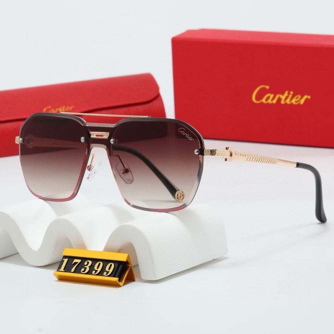Fashion hot 5 color sunglasses 17399s-sss62
