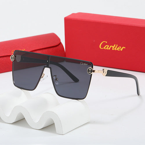 Fashion Sunglasses—110345s-sss62